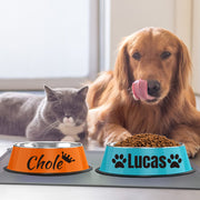 Personalized Non-Slip Stainless Steel Pet Bowl with Custom Name - Ideal for Cats and Dogs, Perfect for Food and Water Supplies