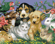Paint by Numbers - PETS IN NATURE (HOWARD ROBINSON)