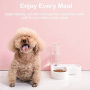 Automatic Food & Water Feeder For Two-in-one Pet Feeding