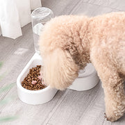 Automatic Food & Water Feeder For Two-in-one Pet Feeding